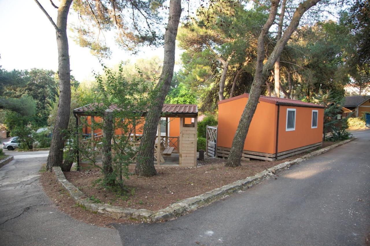 Mobile Home- Fish Huts And Orange Huts